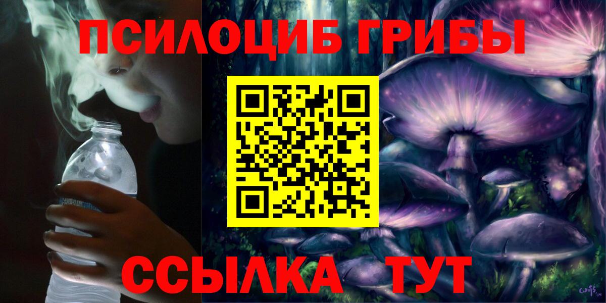 Псилоцибиновые грибы Cubensis Свободный