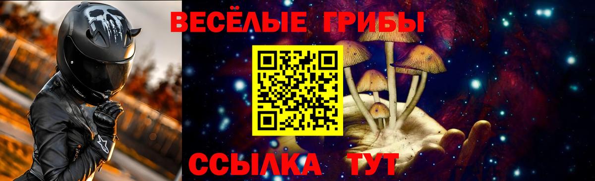 Псилоцибиновые грибы прущие грибы  хочу   Вход с VPN  Свободный  Галлюциногенные грибы мухоморы 